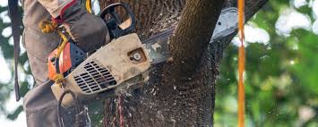 Best Lawn Grading and Leveling  in Country Clu, FL