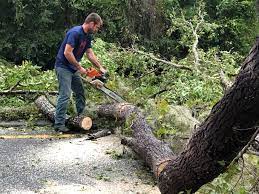 Best Lawn Maintenance Plans  in Country Clu, FL